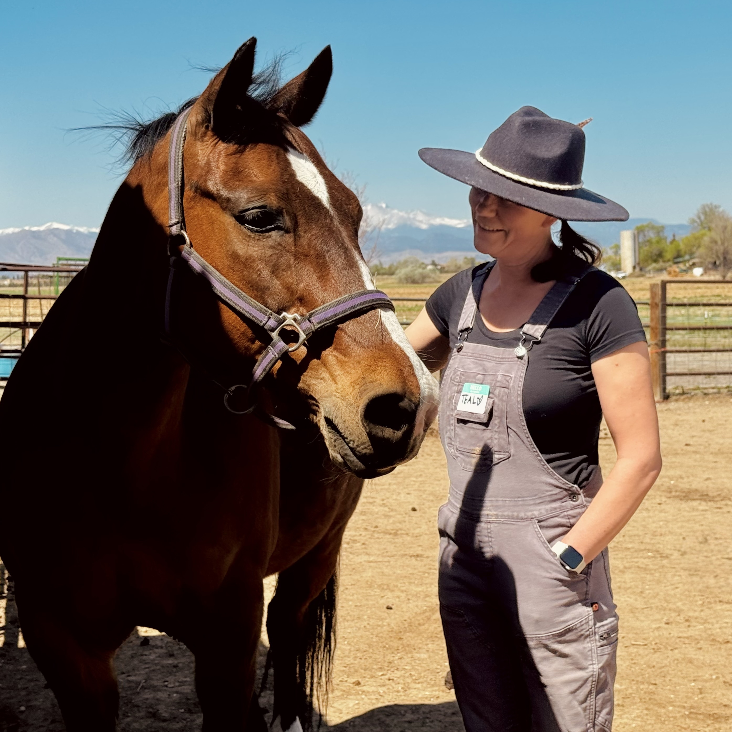 Wholeness with Horses - Cancer Support Group - logo